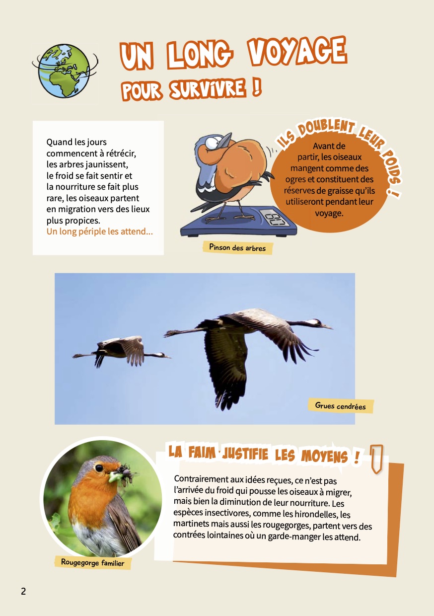 visuel dépliant les mystères de la migration